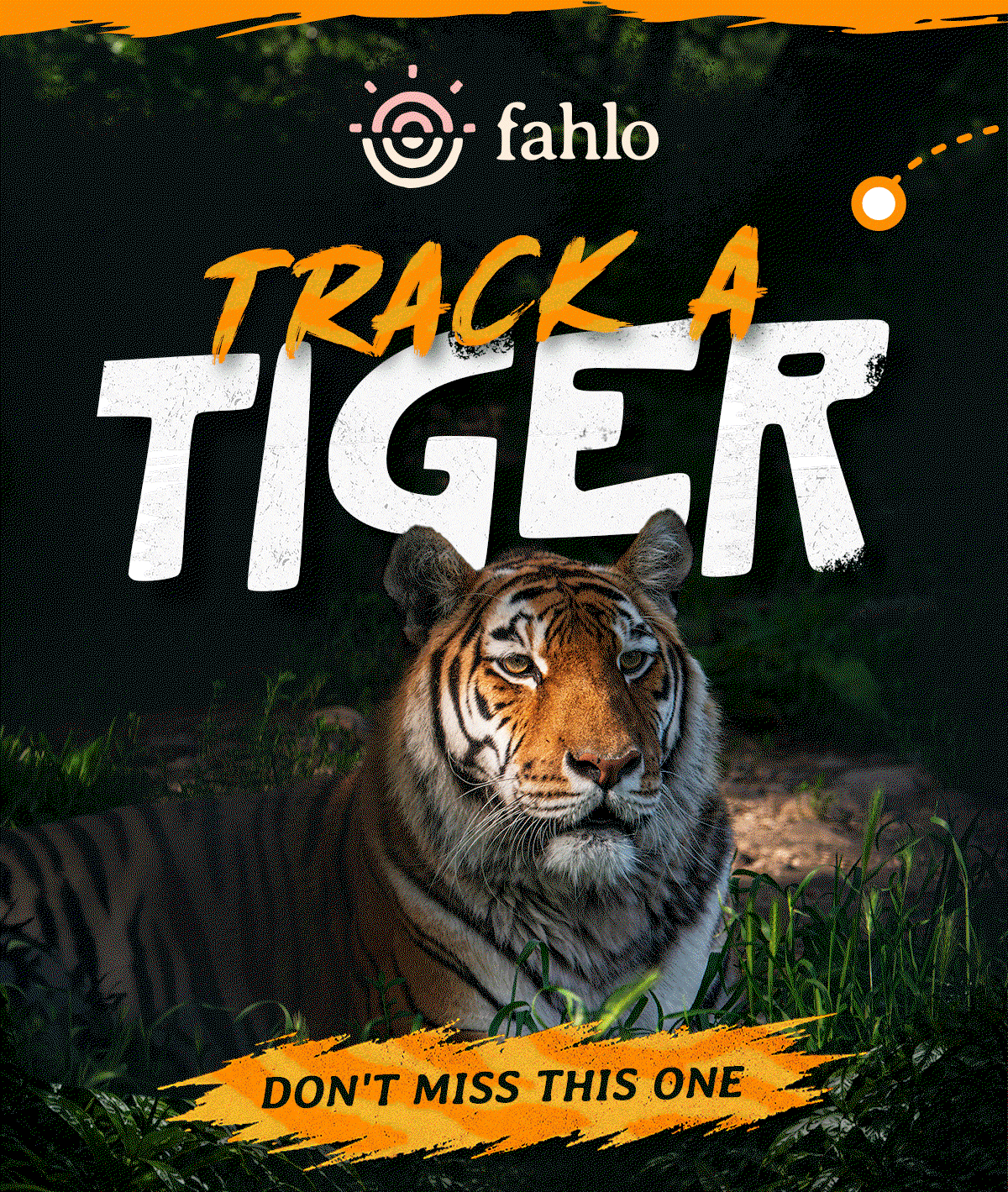 Don't miss this one! Tiger tracking is live! Track now!