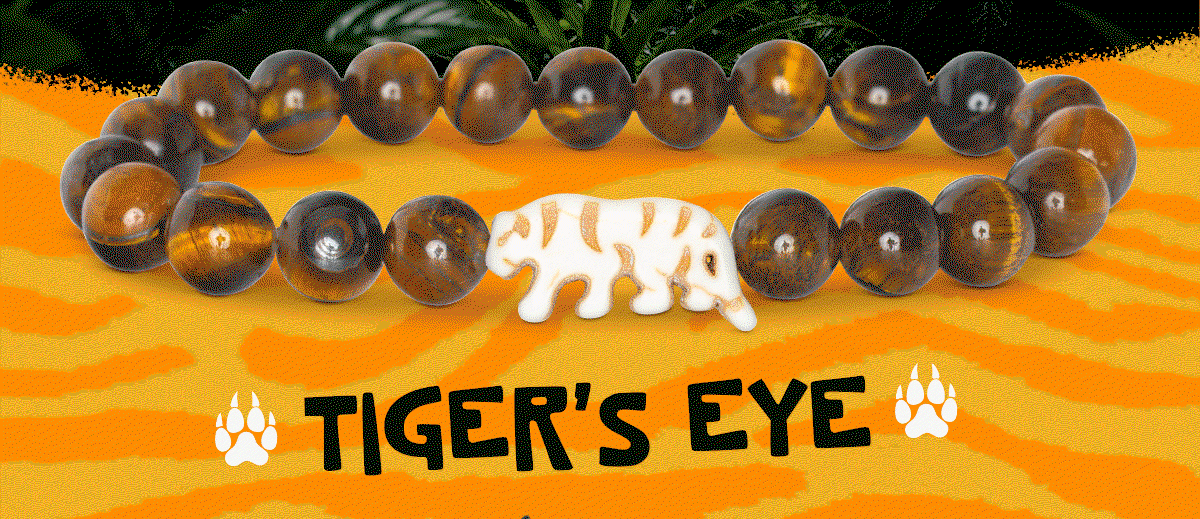 Jump into a brand new animal tracking journey! 3 new colors are available now! 