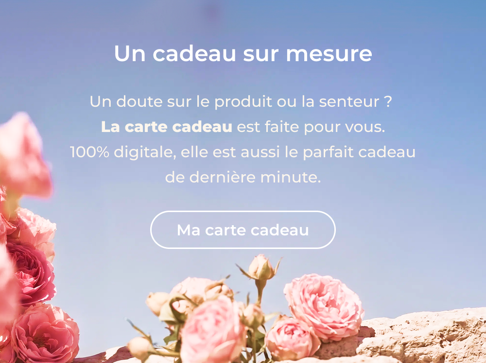 Chargement en cours...