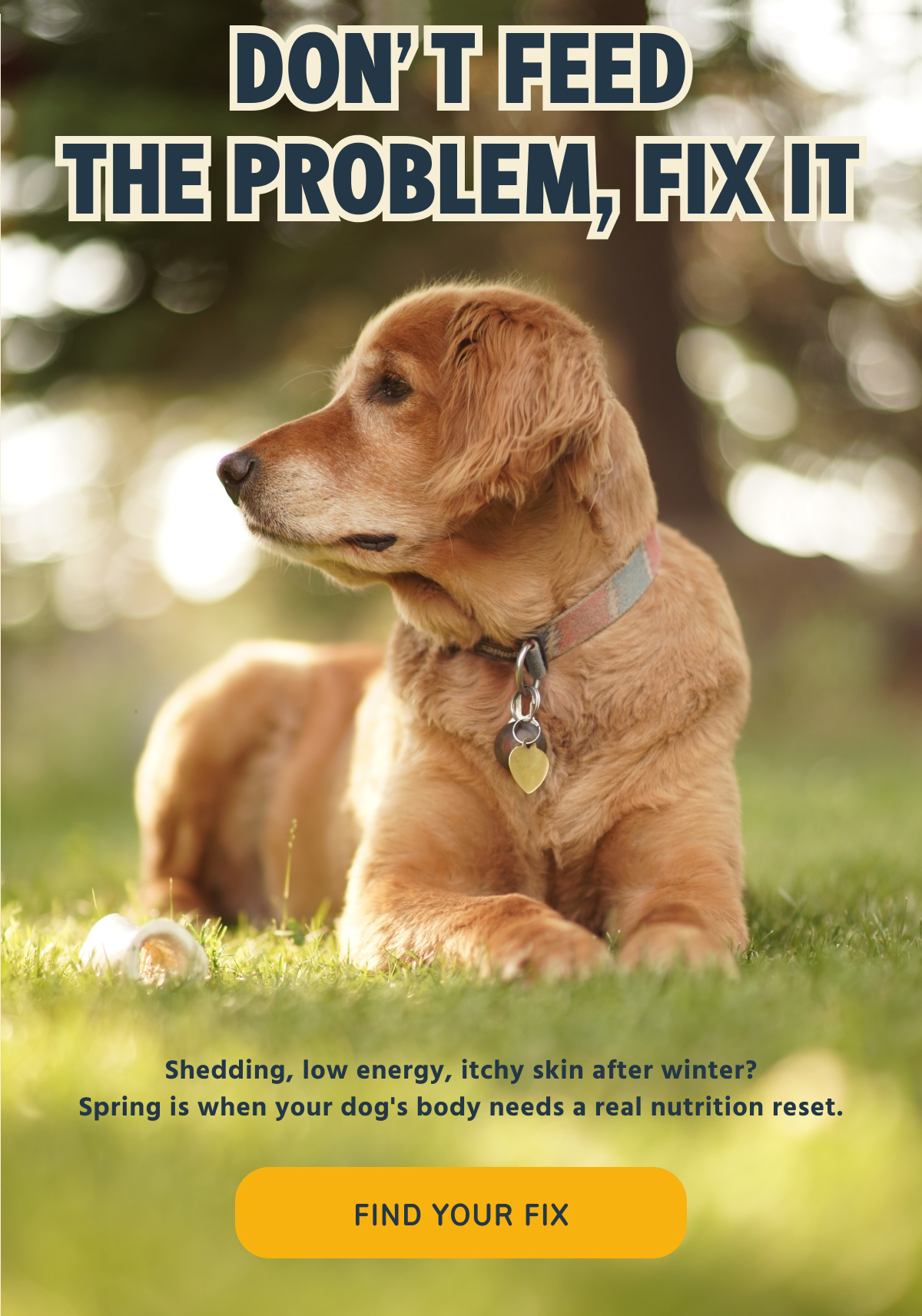DON'T FEED   THE PROBLEM, FIX IT    Shedding, low energy, itchy skin after winter?   Spring is when your dog's body needs a real nutrition reset.   -- FIND YOUR FIX  