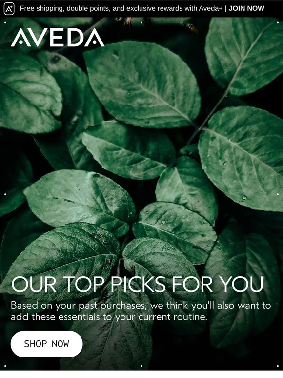 —, we think you'll love these