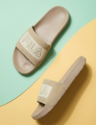 Braune Slides 