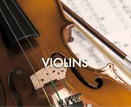 Violins