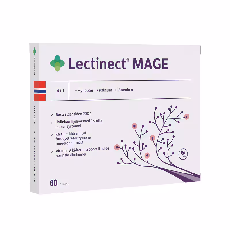 LECTINECT | Lectinect Mage
