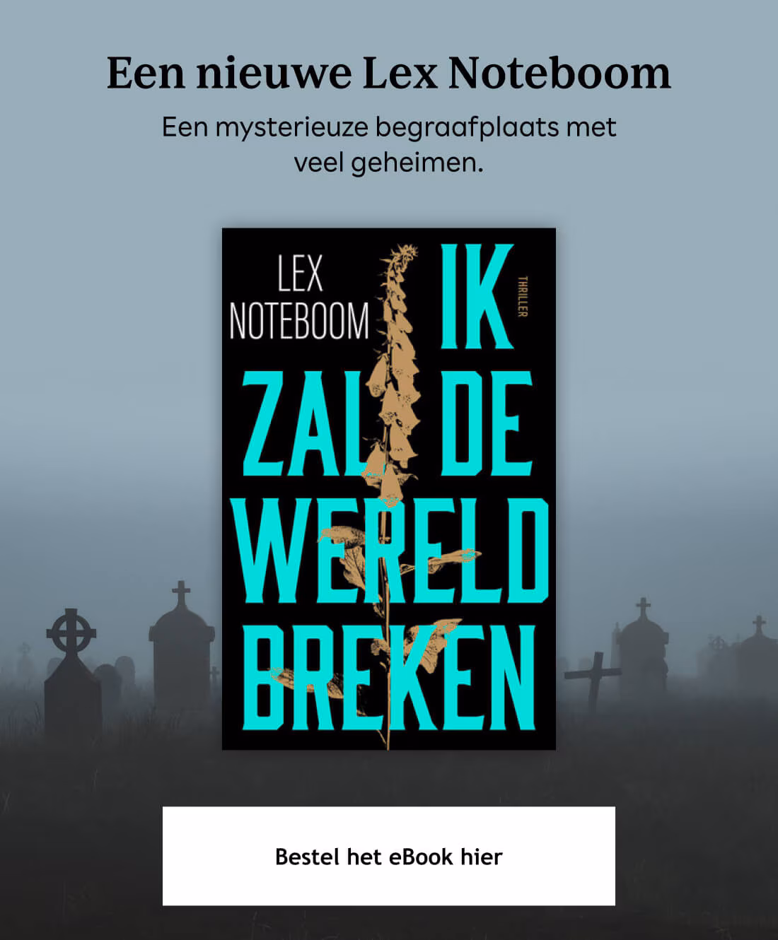Een nieuwe Lex Noteboom. Een mysterieuze begraafplaats met veel geheimen. Bestel het eBook hier