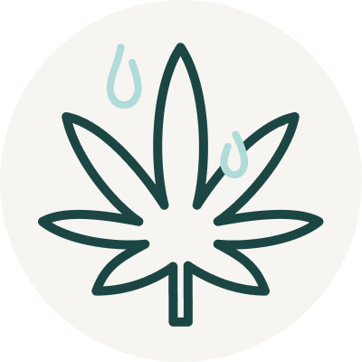 Image of a cannabis leaf with water droplets