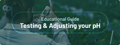 Educational Guide - Testing and adjusting your pH