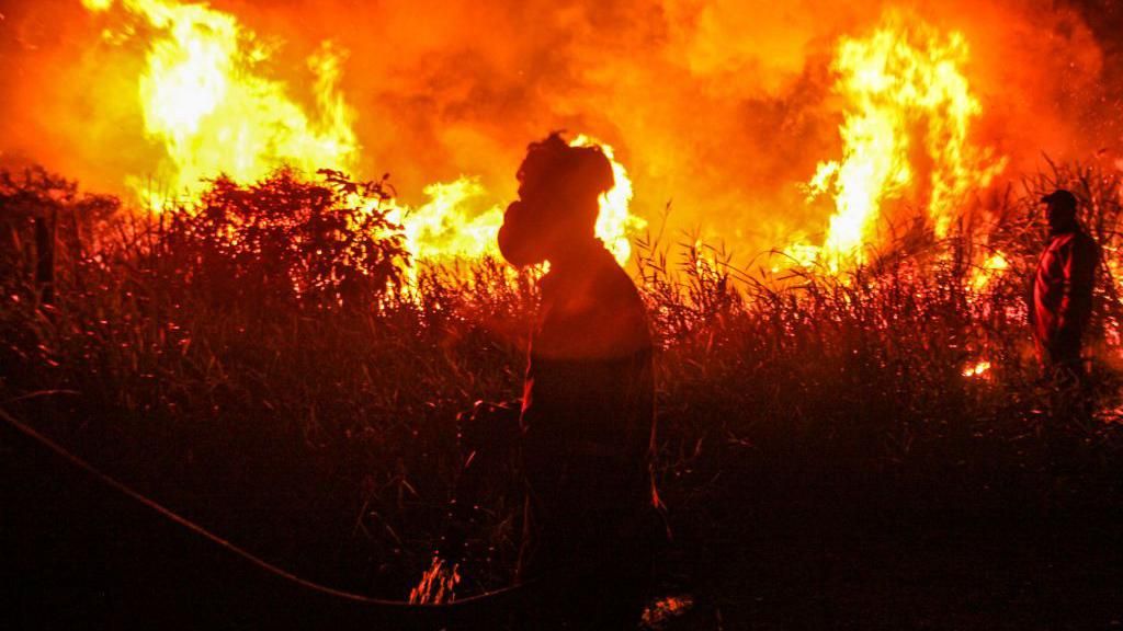 Indonesian firefighters, from Indonesian Disaster Management, try to extinguish a wildfire in September 2023. A person wearing breathing apparatus stands in the shadow of a fire, as tall grasses and bushes burn behind.