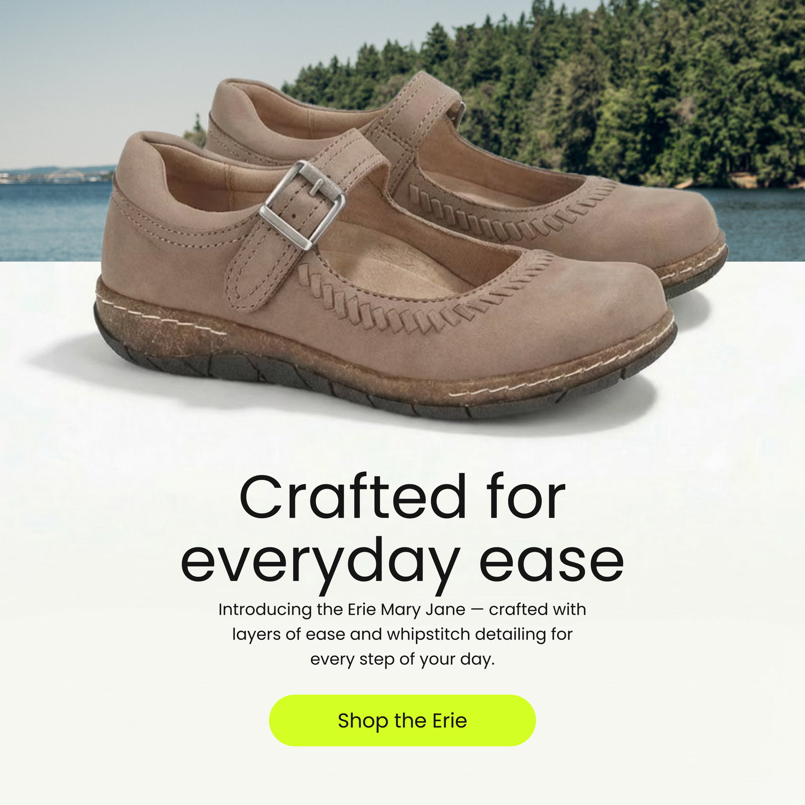 [ SHOP THE ERIE ]
