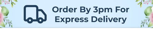 Order By 3pm For Express Delivery