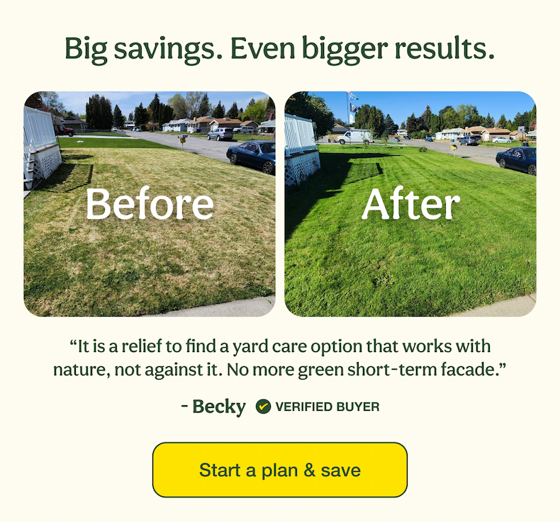 Big savings. Even bigger results. | Start a plan & save