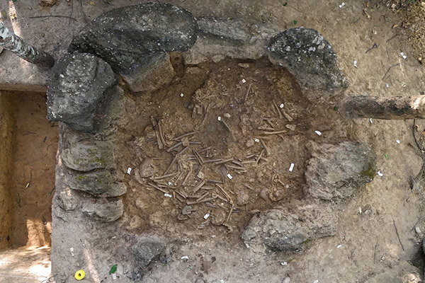 Top-down view of a jar, 1.3 metres high and about 2 metres wide, filled with human bones.