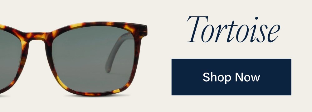 Tortoise Shop Now