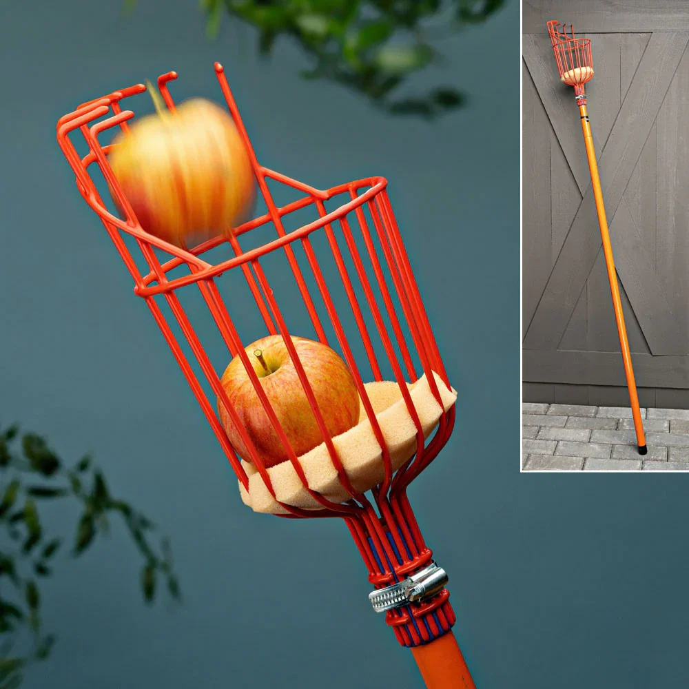 Image of "Tasty Reach" Telescoping Fruit Picker