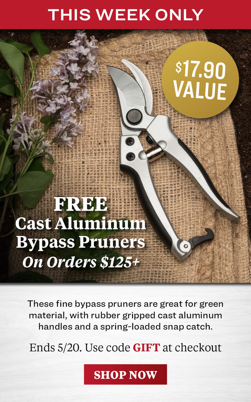 Free gift
