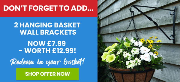 Hanging Basket Wall Brackets