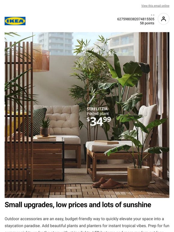 Level-up your outdoor space before summer. 🦩 🌞