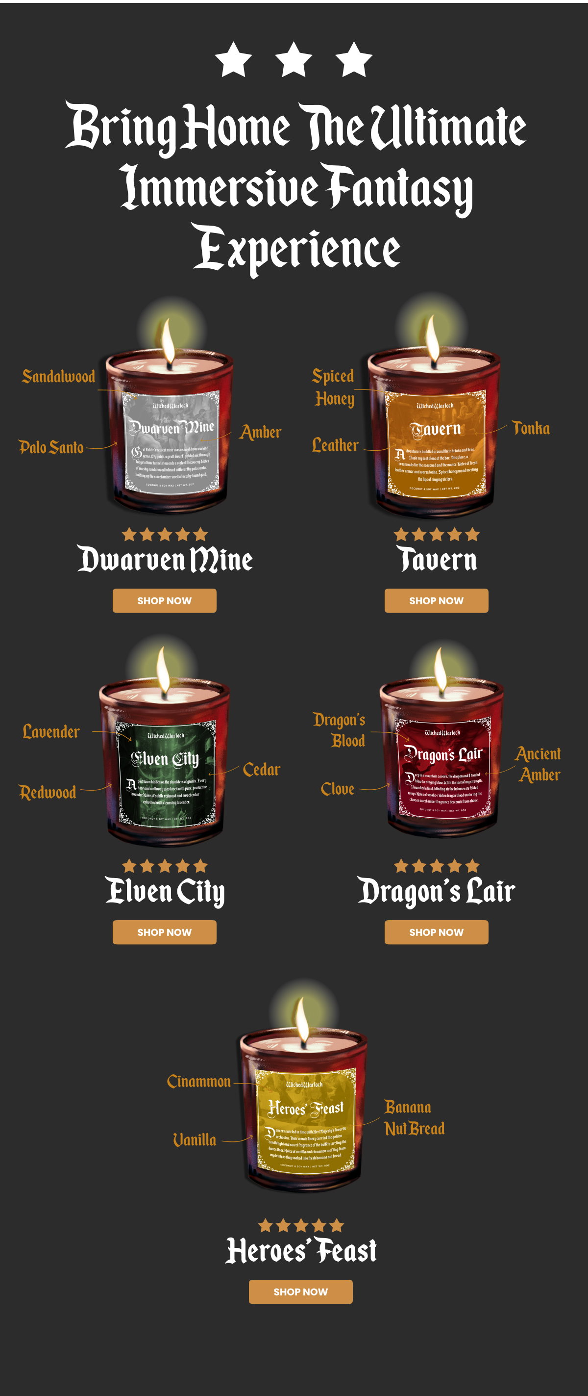 Bring Home The Ultimate Immersive Fantasy Experience