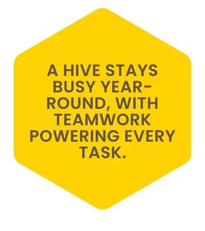 A hive stays busy year-round, with teamwork powering every task.