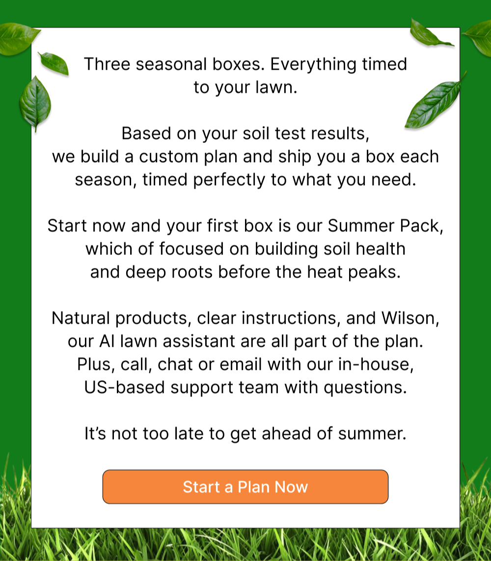 Start a Plan Now
