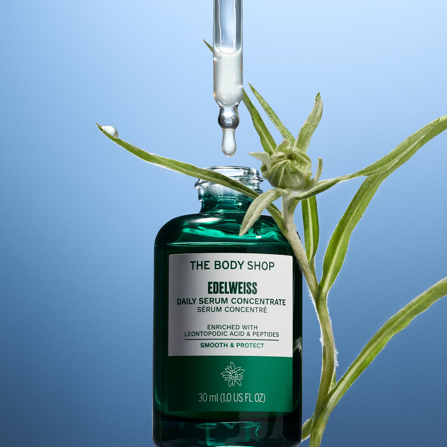 SHOP  EDELWEISS