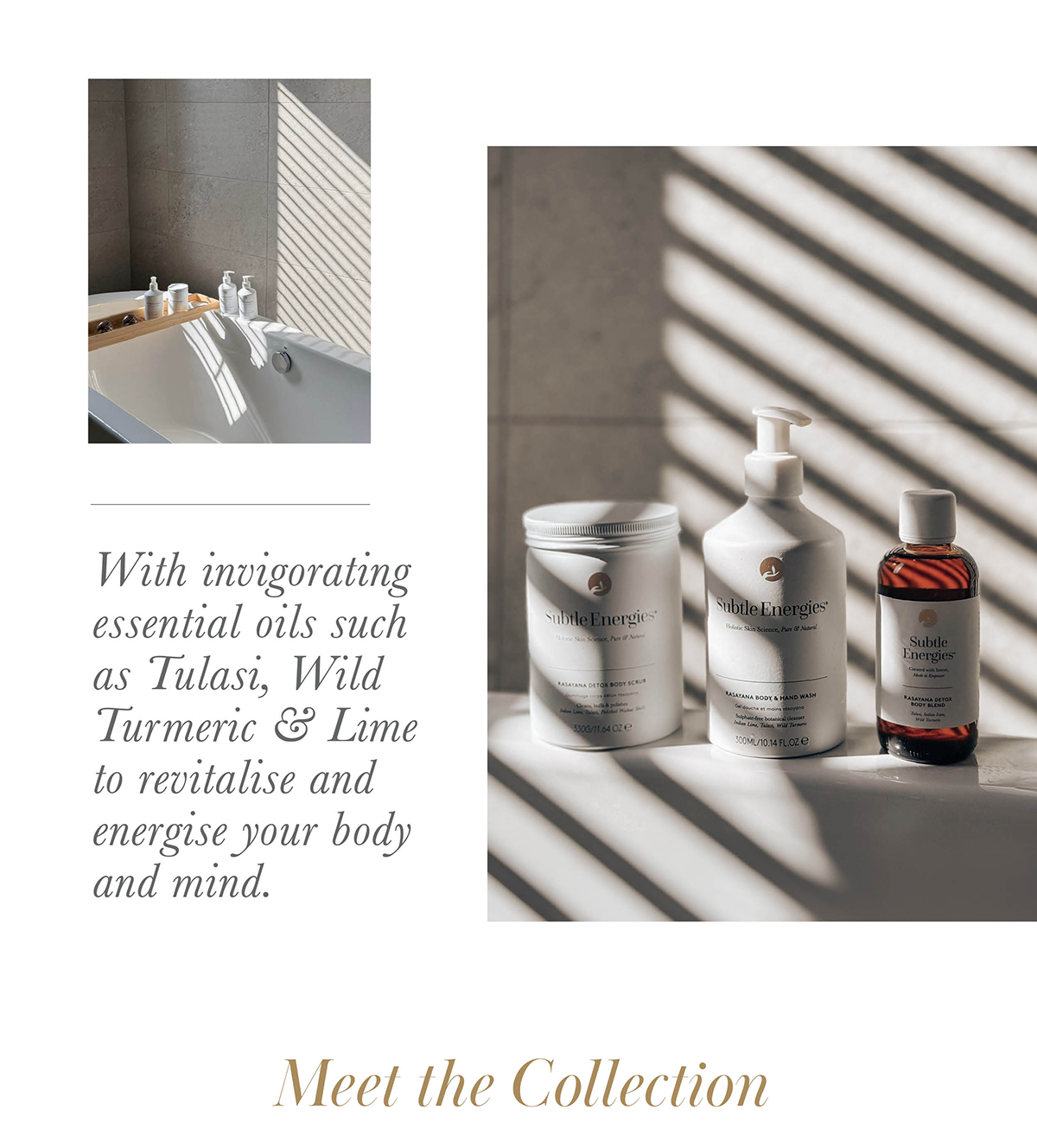 Discover the Rasayana Collection