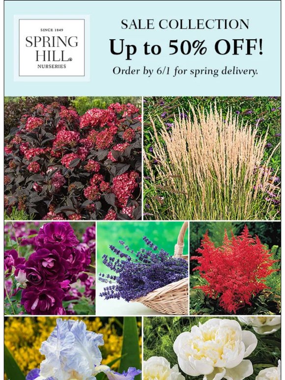 SALE | Save up to 50% on dozens of plants!