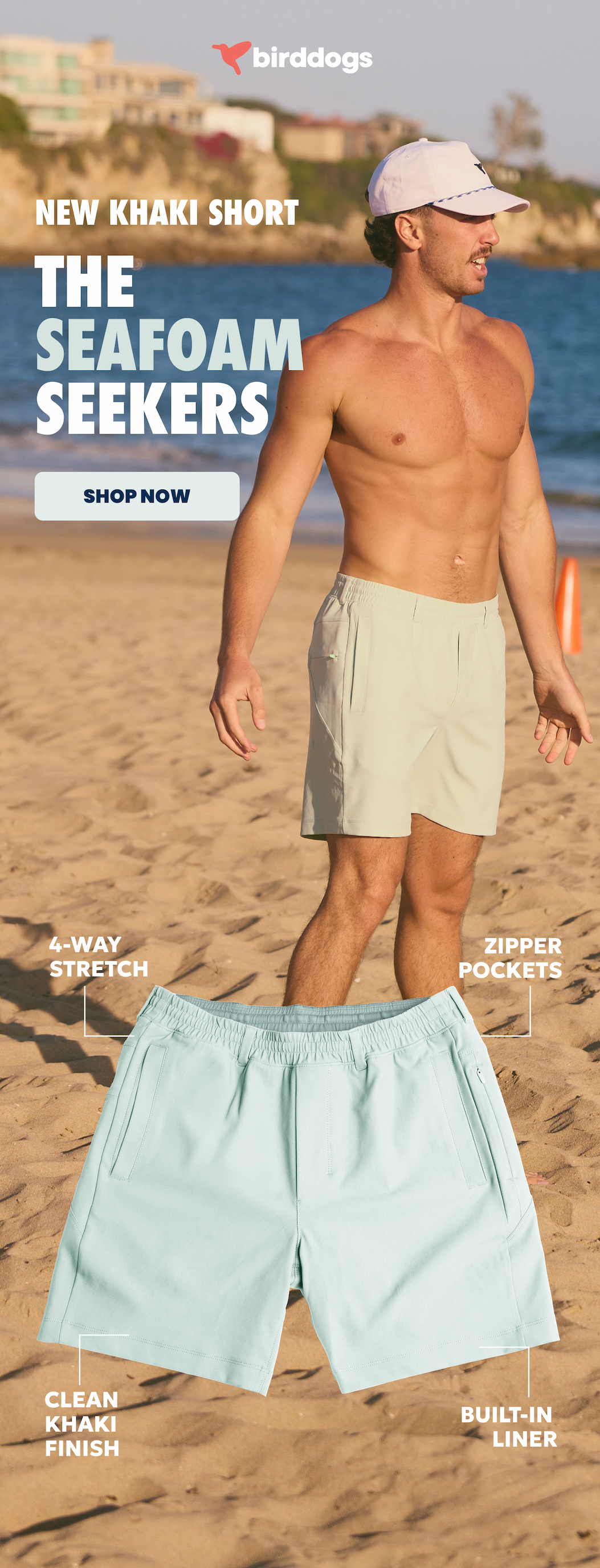 New Khaki Shorts