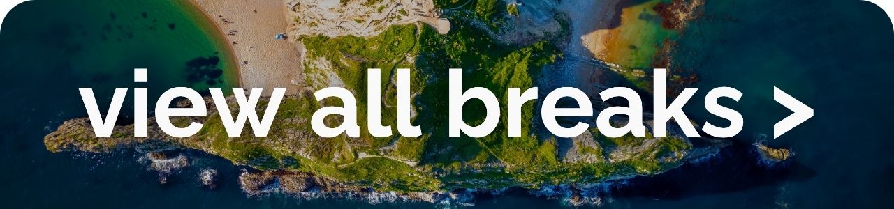 view all breaks