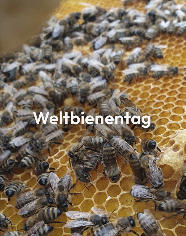 Weltbienentag