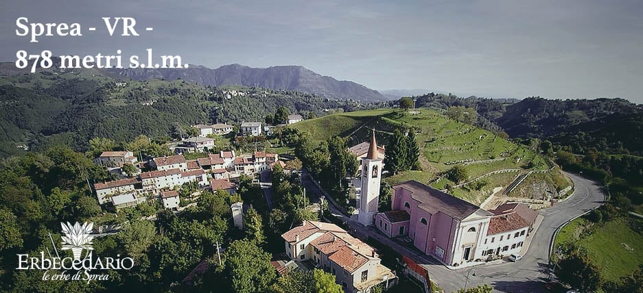 Video Chi Siamo