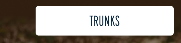 More to Love | [TRUNKS]