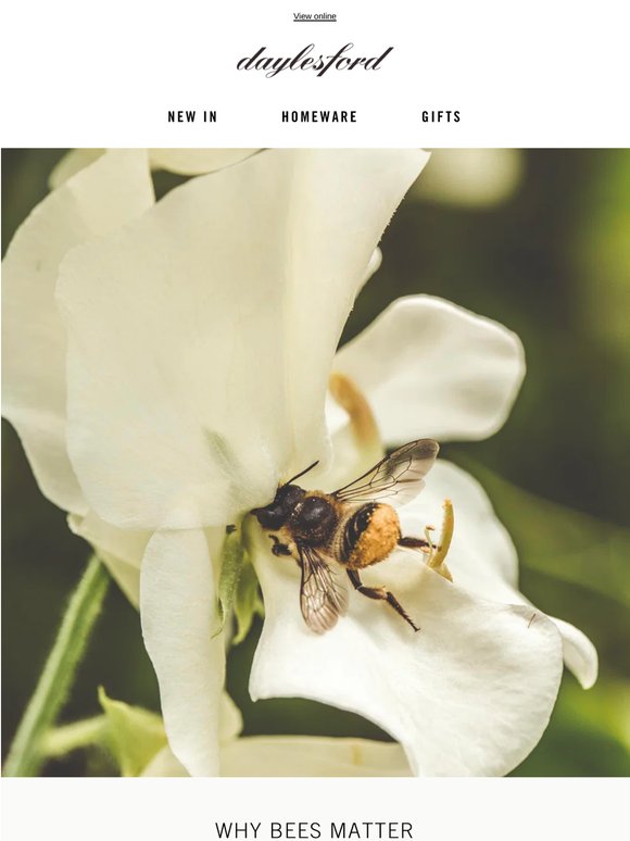 In praise of the bee