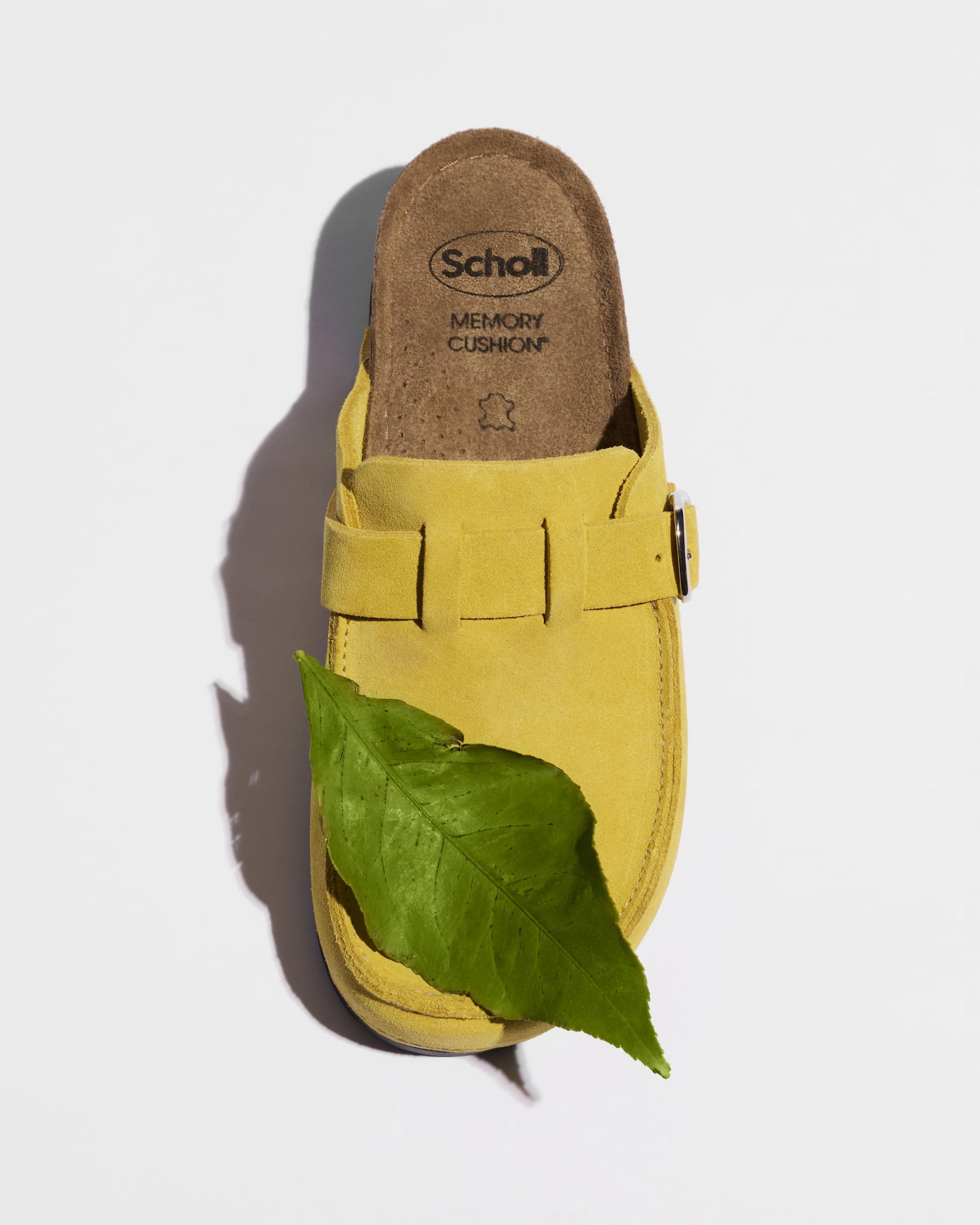 SCHOLL N21