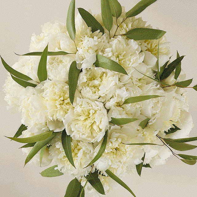 Kelly Hoppen’s Bountiful Peony Bouquet