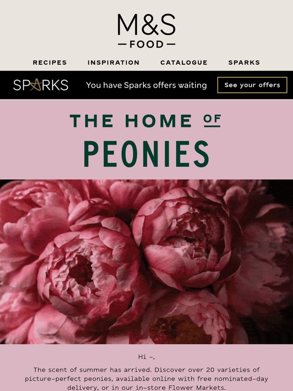 It's peony season 🌸