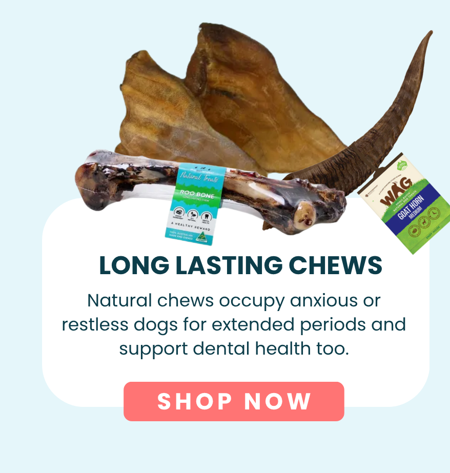 Long Lasting Chews