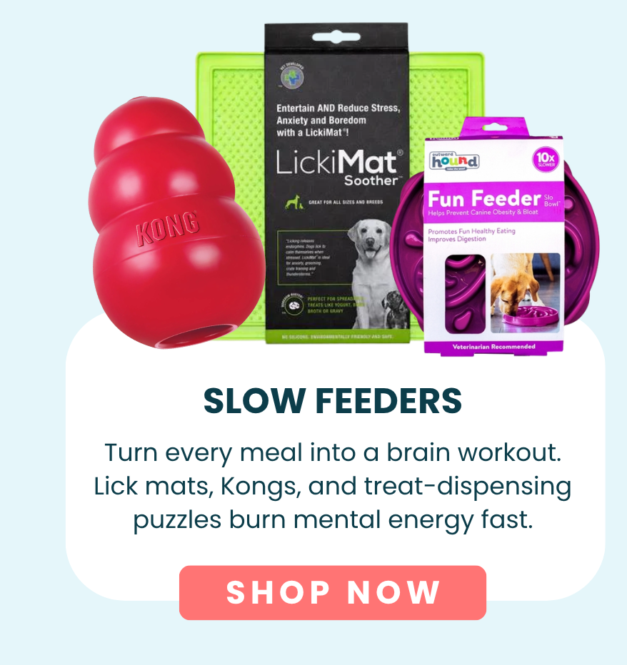 Slow Feeders