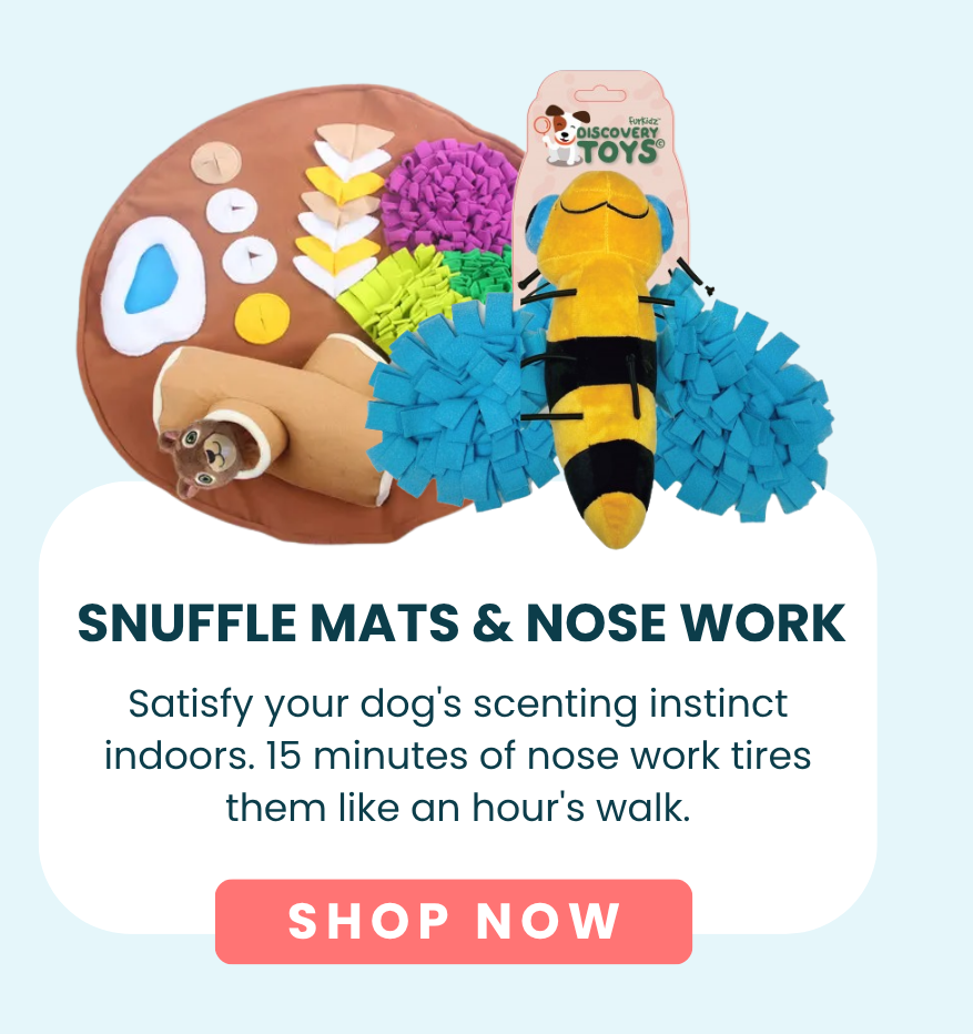 Snuffle Mats