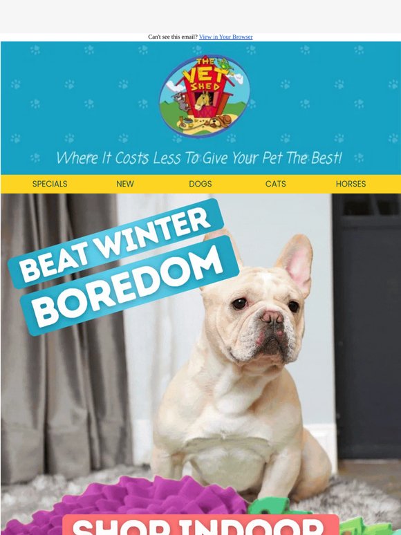 🐶 Beat the Boredom | Indoor Enrichment Must-Haves for Dogs 🧠