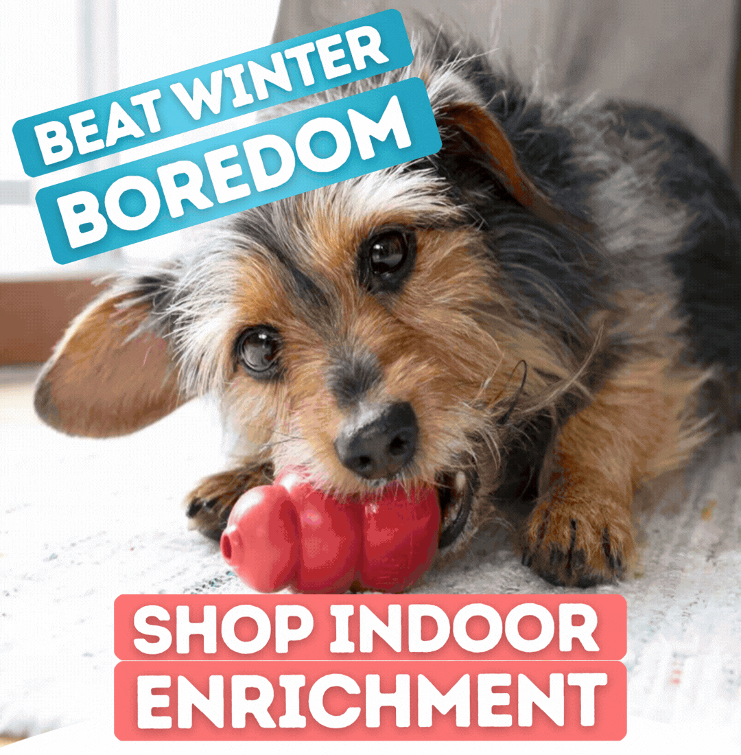 Beat Winter Boredom