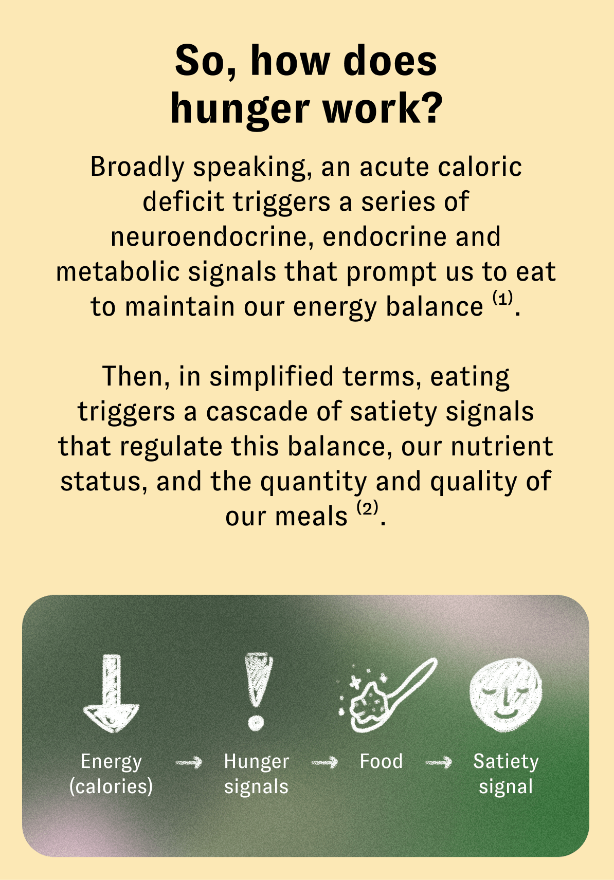 So, how does hunger work? Broadly speaking, an acute caloric deficit triggers a series of neuroendocrine, endocrine and metabolic signals that prompt us to eat to maintain our energy balance (1).  Then, in simplified terms, eating triggers a cascade of satiety signals that regulate this balance, our nutrient status, and the quantity and quality of our meals (2).  Energy (calories) Hunger signals Food Satiety signal