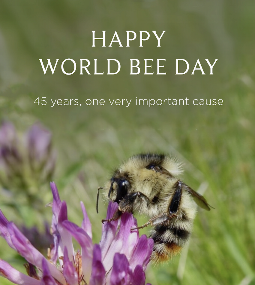 World Bee Day