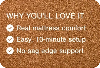 Why You'll Love It. 