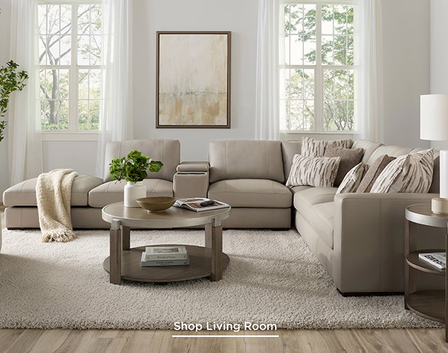 Shop Living Room