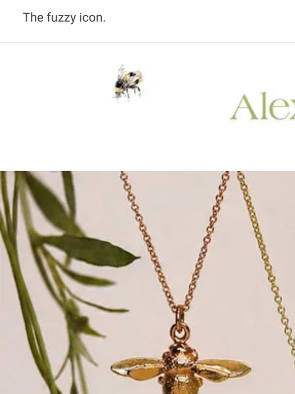 Celebrating World Bee Day 🐝