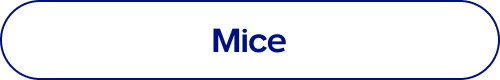 Mice