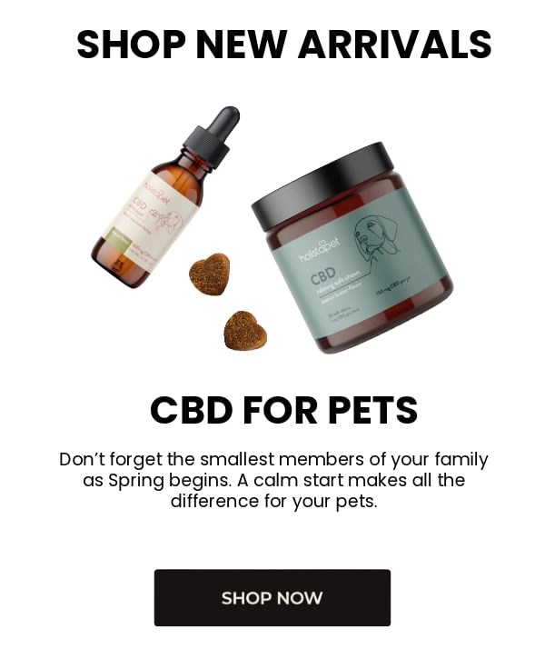 CBD for Pets