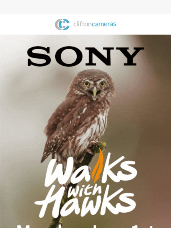 Live Falconry Displays 🦅 Sony a7R VI - Free Event!