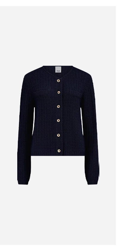 Gold Button Cardigan In Navy